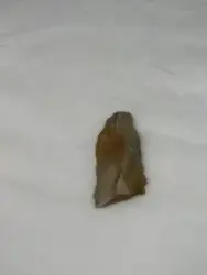 Skrapa