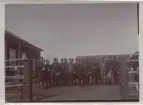 Femte arméfördelningens fältövning 1908 i Haberga.