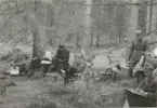 Män studerar kartor i skog, Intendenturfältövning Sunne, 1955.