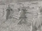 Tre män vid gärdesgård, Intendenturfältövning Sunne, 1955.