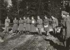 Män studerar kartor i skog, Intendenturfältövning Sunne, 1955.