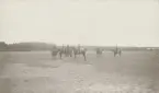Officerare till häst på stort fält, troligen Rönneslätt.