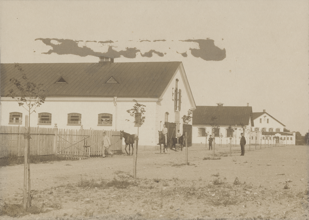 Skånska Trängkåren T 4 Hässleholm, stall, ridhus och gymnastiksal.