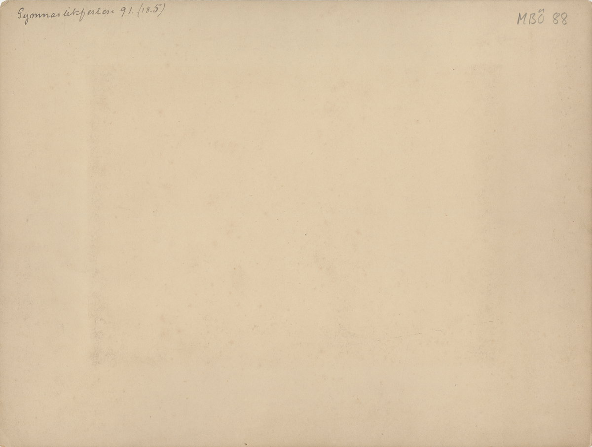 Män uppställda på gräsmatta under gymnastikfesten, 1891.