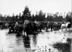 Soldater vattnar hästar vid ett vattendrag.