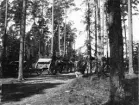 Vagnar under transport genom skogsmark.