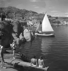 Sommarmotiv, segelbåt, badande människor, brygga, klippor oc