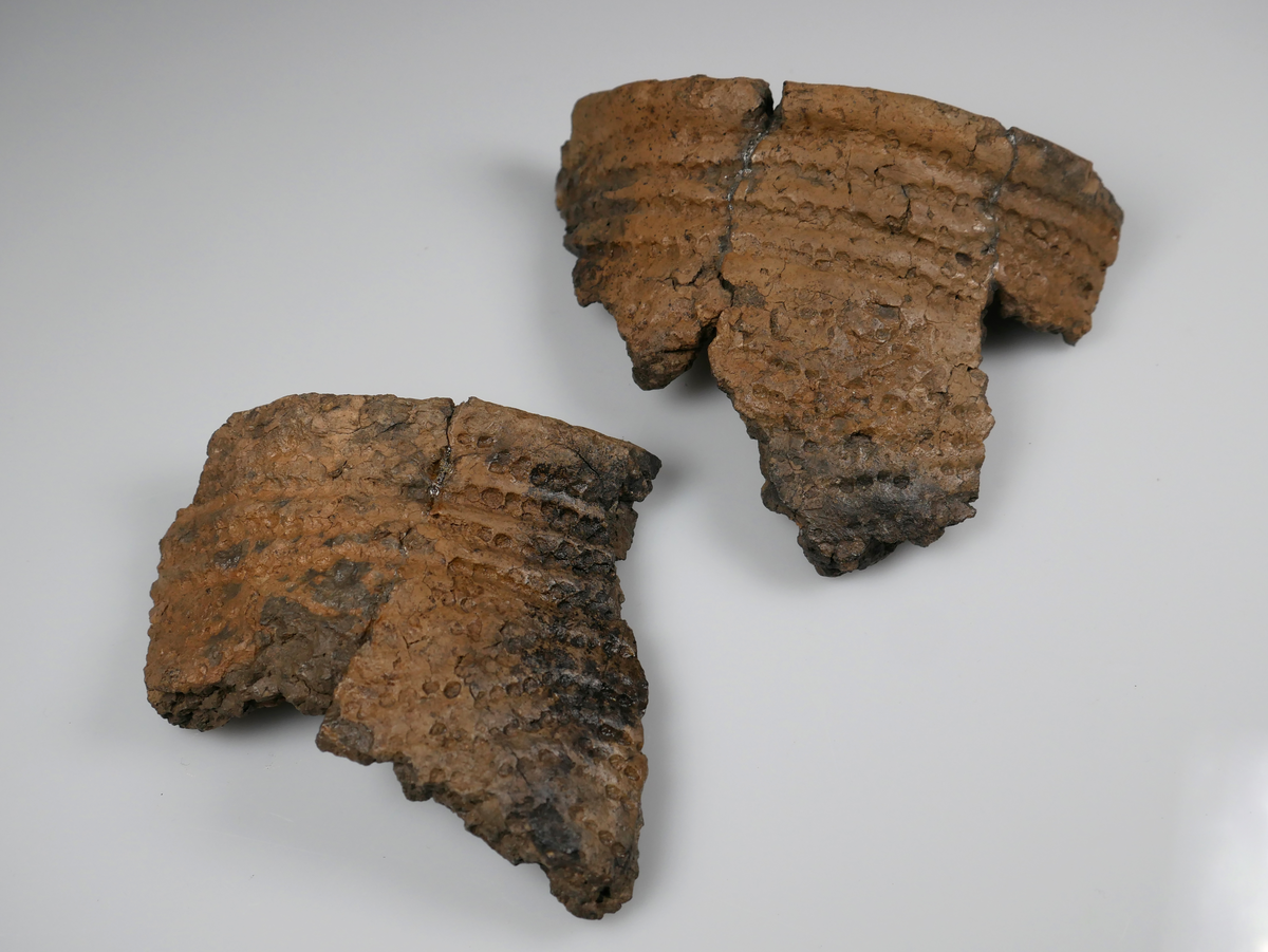 Fragment av keramikkruka, slutet av yngre stenåldern, ca 2 000 f.Kr. Dekorerad med små intryckta gropar. Krukans buk har typiska mönster av intryckta vinklar. Gravfynd från undersökning av hällkista 1950 i Ingemarstorp, Södra Härene.