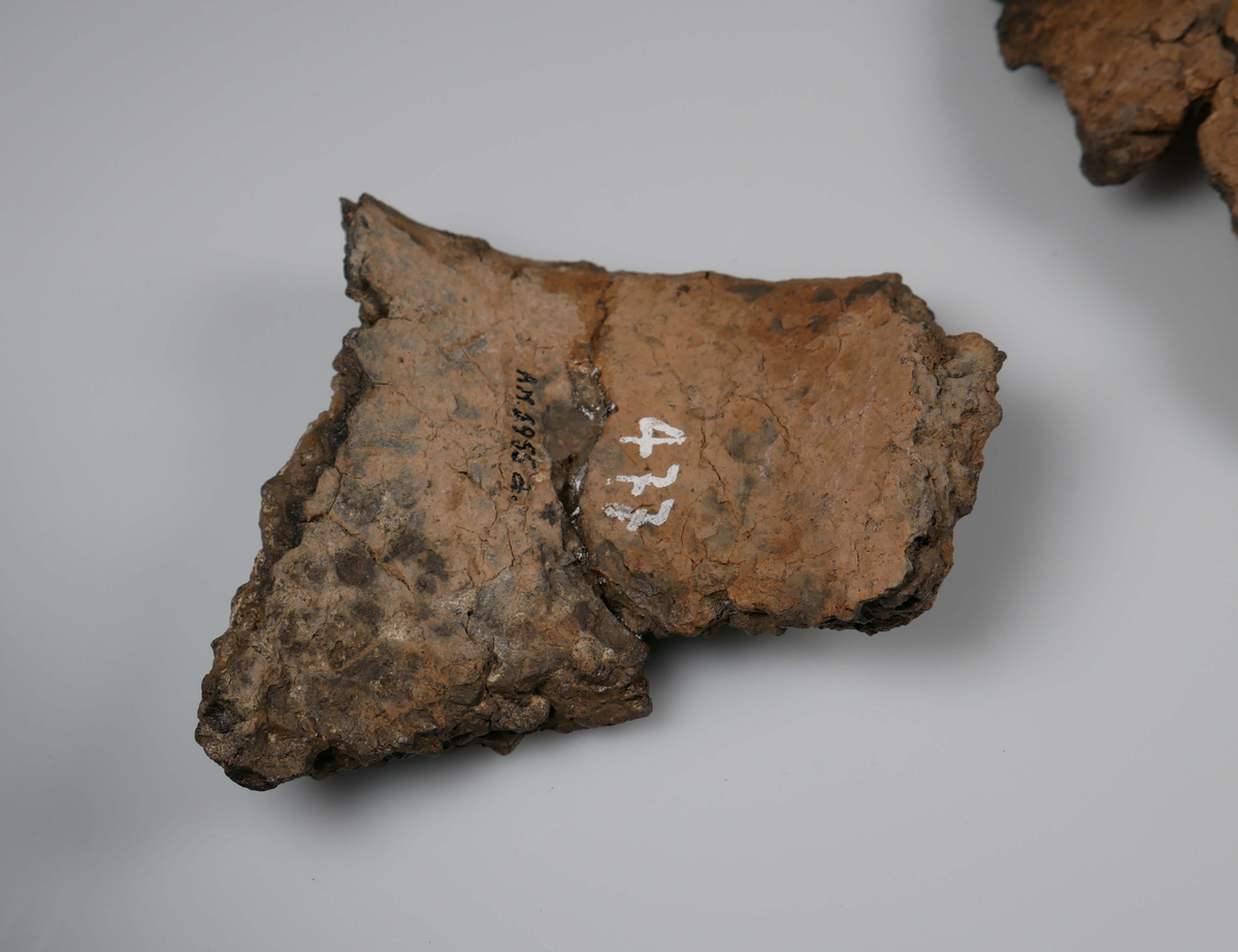 Fragment av keramikkruka, slutet av yngre stenåldern, ca 2 000 f.Kr. Dekorerad med små intryckta gropar. Krukans buk har typiska mönster av intryckta vinklar. Gravfynd från undersökning av hällkista 1950 i Ingemarstorp, Södra Härene.