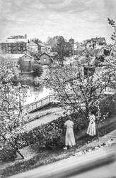 I trädgården till Hejdegatan 1 i Hejdegården nära Tannefors slussar i Linköping.