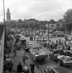 Stockholm. Sommarmorgon vid Vintervägen, stråket mellan Tege