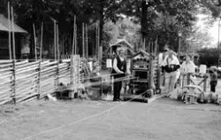 Skördefest på Skansen med Hans Alfredsson 1994. Hans sista o