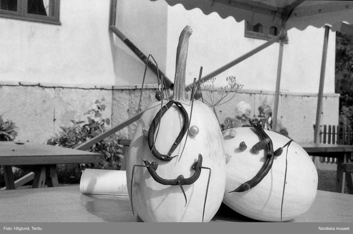 Skördefest på Skansen med Hans Alfredsson 1994. Hans sista odlingsmarknad.