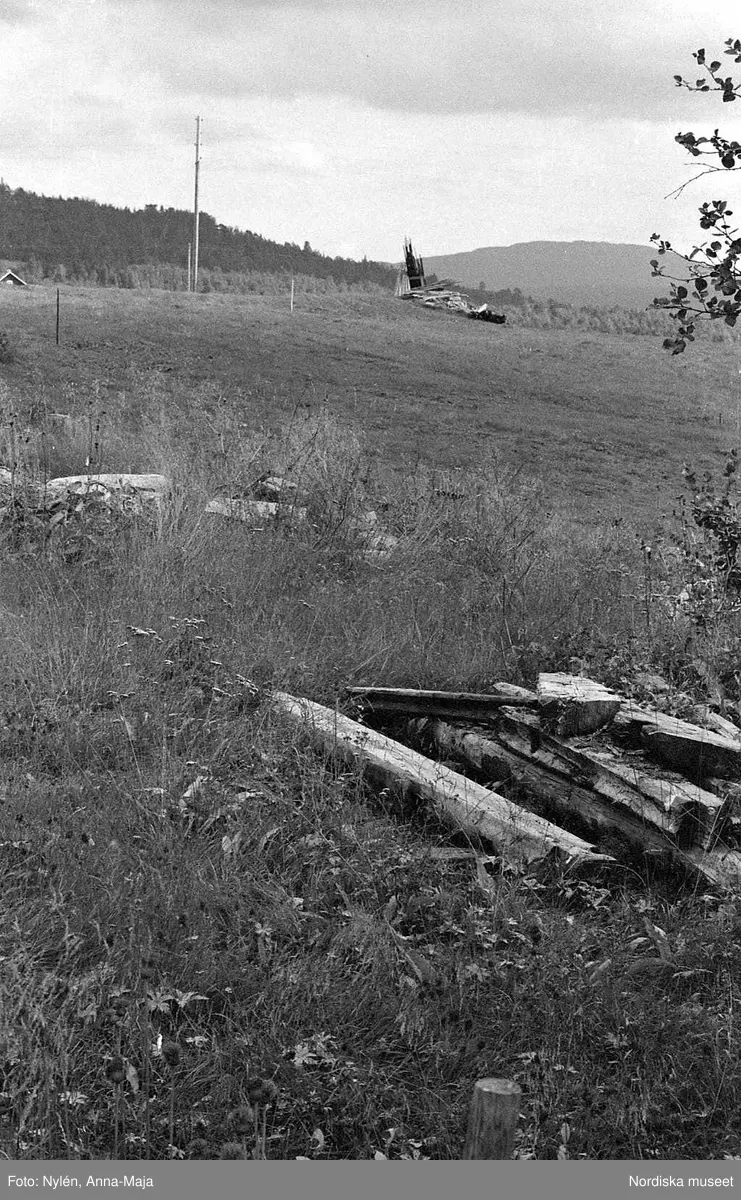 Bruksvallarna. Utsikter, interiör, porträtt.