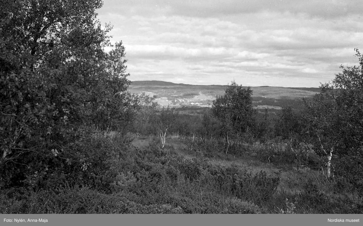 Bruksvallarna. Utsikter.
