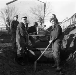 Oljehot i Tierp, Uppland 1970