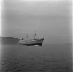 M/S Forra på fjorden