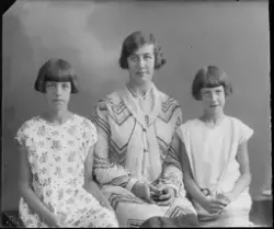 Familjen Torstensson på Lindsborg i Västerås