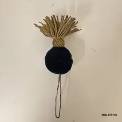 Pompong