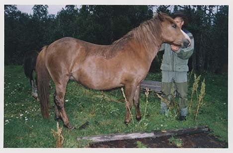 Portrettbilder av lyngshest, samt noen bilder av ridning og gårdsarbeid. Leif Larsen er avbildet på noen av fotografiene. Fra Lyngseidet/Lyngen i 2004.  