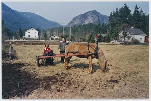 Portrettbilder av lyngshest, samt noen bilder av ridning og gårdsarbeid. Leif Larsen er avbildet på noen av fotografiene. Fra Lyngseidet/Lyngen i 2004.  
