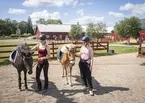Vallastallet i Valla utanför Linköping.
På bilden ser man Matilda Larsson och Bianca Ettelman med hästarna Vilma och Diddi. I juli 2025 arrangeras det ponnyridning vid Vallastallet. 

Om Valla Ponnyklubb:
Valla Ponnyklubb är en ideell förening i Linköping som fokuserar på barn- och ungdomsverksamhet med ridning och hästskötsel på Valla Gård. Valla Ponnyklubb grundades för 60 år sedan, vilket innebär att klubben grundades år 1964. Detta firades med ett 60-årsjubileum den 9 maj 2024. Bilden är från sommaren 2025.