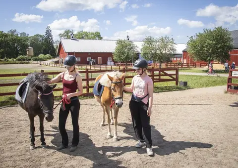 Ponnyridning i Valla