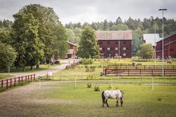 Valla friluftsområdet