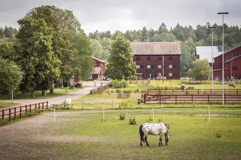 Valla friluftsområdet