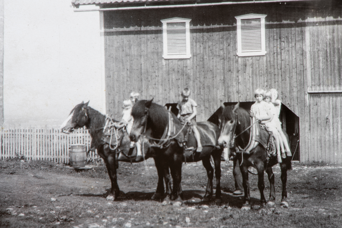 3 arbeidshester med barn på ryggen, foran stallen på Kaaterud.