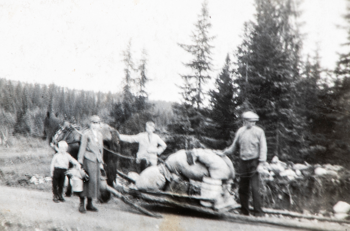 Folket fra Østre Kaaterud på tur til seters i Trysil. Hest med slep
