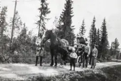 Hjemreise. Folket fra Kaaterud på tur hjem fra setra i Trysi