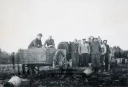 Potetonn på Øvre Kaaterud i Ottestad. 
1.rekke: m/busserull: Bernt Hagen, Ole Olsen Flatby, Solveig Omsted, Eli Omsted.Potetplukking, hester og kjerre.