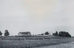 Jordene foran Øvre Kaaterud. Høyhesje, høyonn.