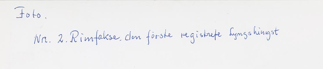 Fotografi av lyngshester og sau fra 1930 til 2009. Motiv fra jubileumsutstilling på Polleidet, turridning, hestestevner, småfeutstilling, gårdsarbeid og turistkjøring, samt bilder av hest og føll, sau og lam og avlsværen Oleg.