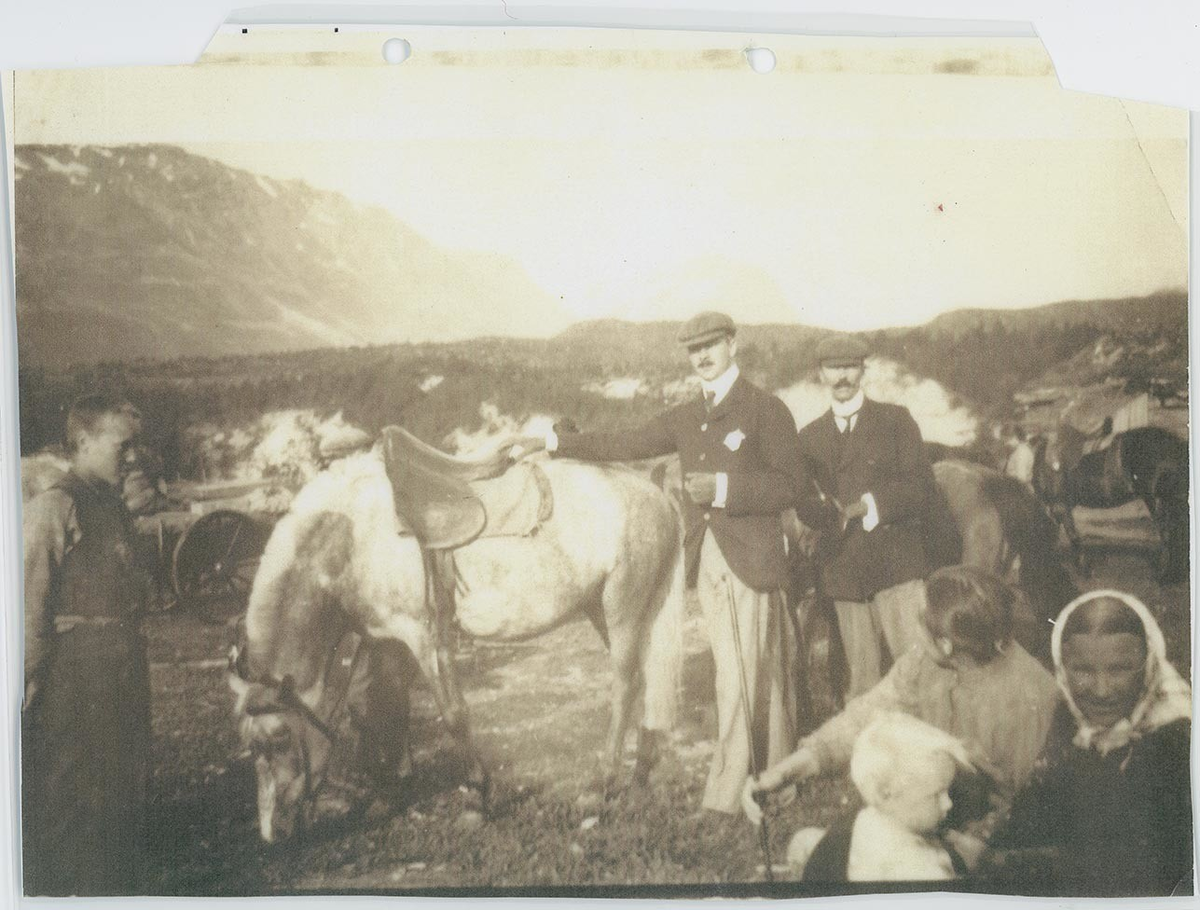 Fotografi av lyngshester og sau fra 1930 til 2009. Motiv fra jubileumsutstilling på Polleidet, turridning, hestestevner, småfeutstilling, gårdsarbeid og turistkjøring, samt bilder av hest og føll, sau og lam og avlsværen Oleg.
