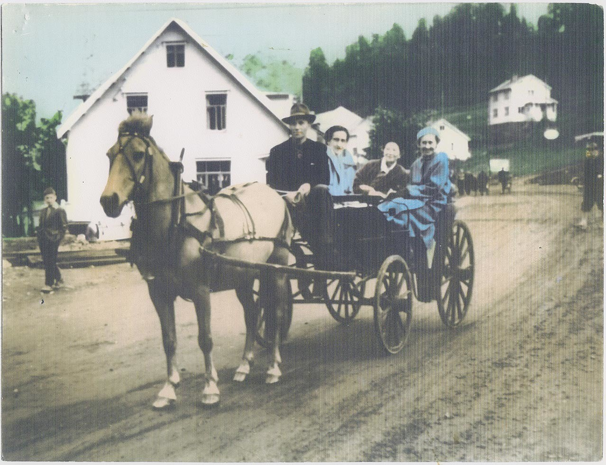 Fotografi av lyngshester og sau fra 1930 til 2009. Motiv fra jubileumsutstilling på Polleidet, turridning, hestestevner, småfeutstilling, gårdsarbeid og turistkjøring, samt bilder av hest og føll, sau og lam og avlsværen Oleg.
