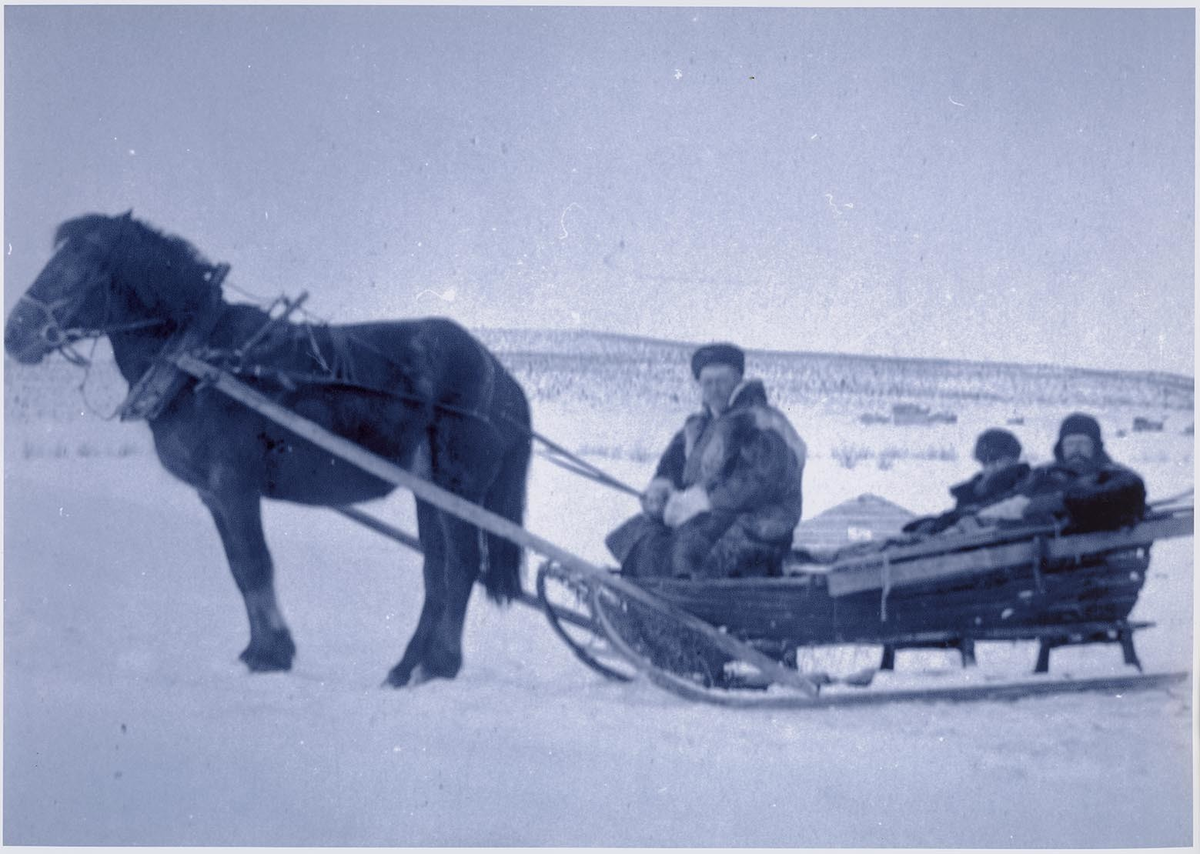 Fotografi av lyngshester og sau fra 1930 til 2009. Motiv fra jubileumsutstilling på Polleidet, turridning, hestestevner, småfeutstilling, gårdsarbeid og turistkjøring, samt bilder av hest og føll, sau og lam og avlsværen Oleg.