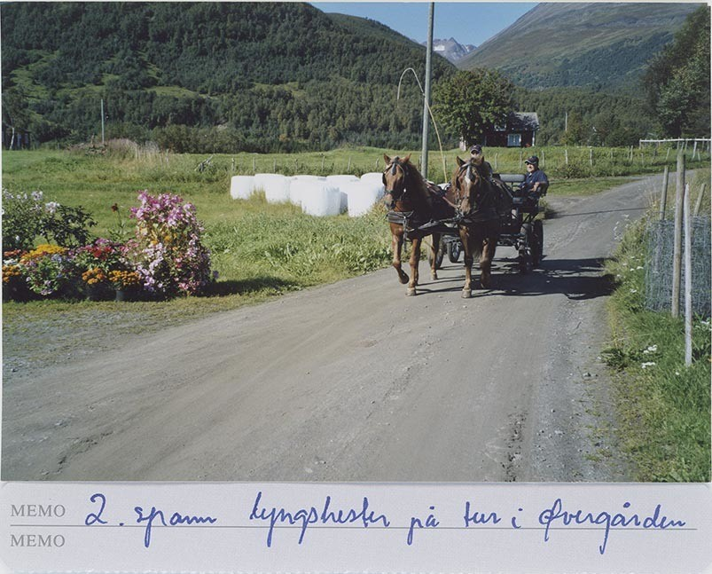 Fotografi av lyngshester og sau fra 1930 til 2009. Motiv fra jubileumsutstilling på Polleidet, turridning, hestestevner, småfeutstilling, gårdsarbeid og turistkjøring, samt bilder av hest og føll, sau og lam og avlsværen Oleg.