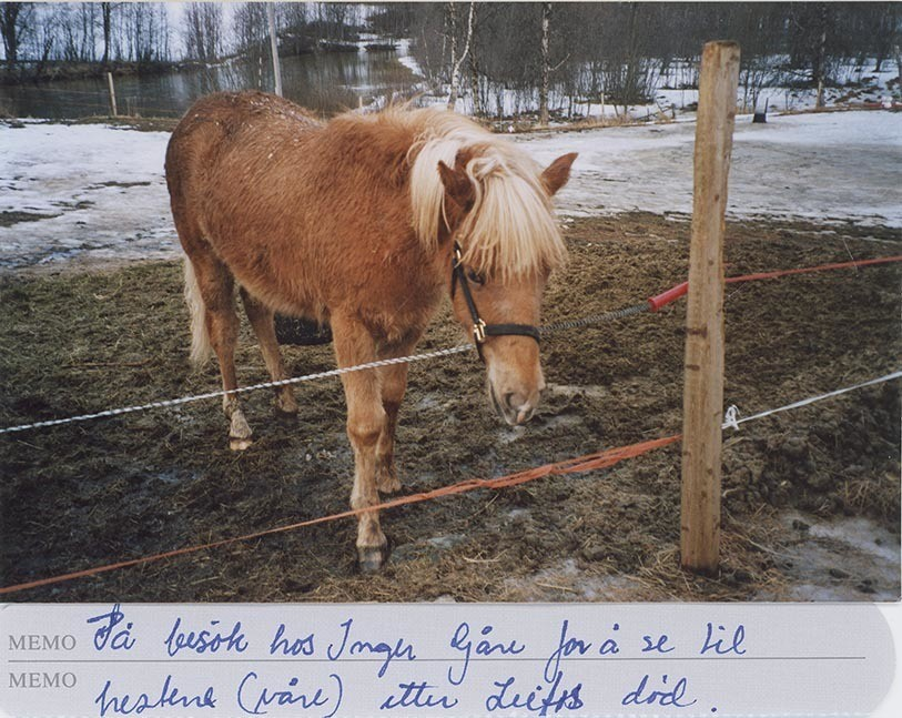 Fotografi av lyngshester og sau fra 1930 til 2009. Motiv fra jubileumsutstilling på Polleidet, turridning, hestestevner, småfeutstilling, gårdsarbeid og turistkjøring, samt bilder av hest og føll, sau og lam og avlsværen Oleg.