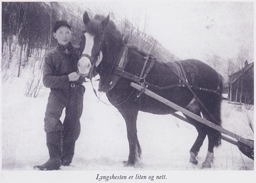 Fotografi av lyngshester og sau fra 1930 til 2009. Motiv fra jubileumsutstilling på Polleidet, turridning, hestestevner, småfeutstilling, gårdsarbeid og turistkjøring, samt bilder av hest og føll, sau og lam og avlsværen Oleg.