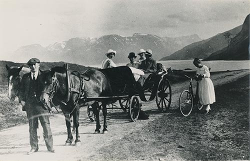 Fotografi av lyngshester og sau fra 1930 til 2009. Motiv fra jubileumsutstilling på Polleidet, turridning, hestestevner, småfeutstilling, gårdsarbeid og turistkjøring, samt bilder av hest og føll, sau og lam og avlsværen Oleg.