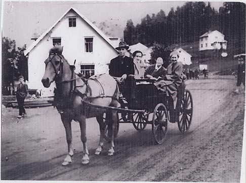 Fotografi av lyngshester og sau fra 1930 til 2009. Motiv fra jubileumsutstilling på Polleidet, turridning, hestestevner, småfeutstilling, gårdsarbeid og turistkjøring, samt bilder av hest og føll, sau og lam og avlsværen Oleg.