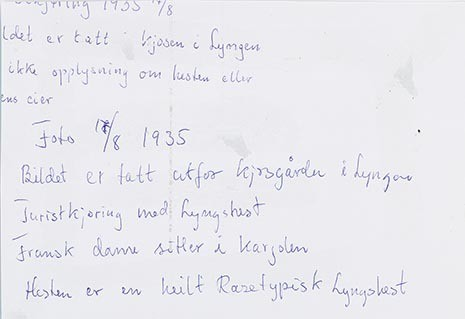 Fotografi av lyngshester og sau fra 1930 til 2009. Motiv fra jubileumsutstilling på Polleidet, turridning, hestestevner, småfeutstilling, gårdsarbeid og turistkjøring, samt bilder av hest og føll, sau og lam og avlsværen Oleg.