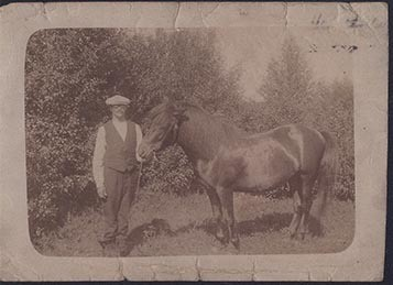 Fotografi av lyngshester og sau fra 1930 til 2009. Motiv fra jubileumsutstilling på Polleidet, turridning, hestestevner, småfeutstilling, gårdsarbeid og turistkjøring, samt bilder av hest og føll, sau og lam og avlsværen Oleg.