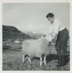 Fotografi av lyngshester og sau fra 1930 til 2009. Motiv fra jubileumsutstilling på Polleidet, turridning, hestestevner, småfeutstilling, gårdsarbeid og turistkjøring, samt bilder av hest og føll, sau og lam og avlsværen Oleg.