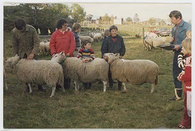 Fotografi av lyngshester og sau fra 1930 til 2009. Motiv fra jubileumsutstilling på Polleidet, turridning, hestestevner, småfeutstilling, gårdsarbeid og turistkjøring, samt bilder av hest og føll, sau og lam og avlsværen Oleg.