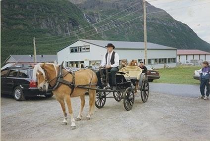 Fotografi av lyngshester og sau fra 1930 til 2009. Motiv fra jubileumsutstilling på Polleidet, turridning, hestestevner, småfeutstilling, gårdsarbeid og turistkjøring, samt bilder av hest og føll, sau og lam og avlsværen Oleg.
