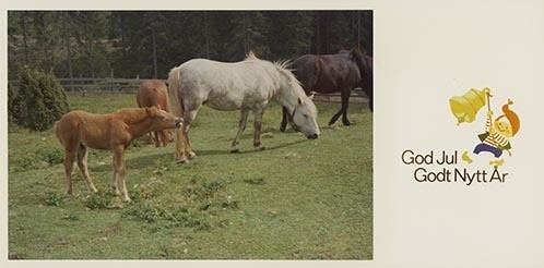 Fotografi av lyngshester og sau fra 1930 til 2009. Motiv fra jubileumsutstilling på Polleidet, turridning, hestestevner, småfeutstilling, gårdsarbeid og turistkjøring, samt bilder av hest og føll, sau og lam og avlsværen Oleg.