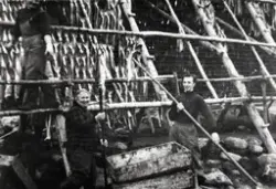 Gjesvær. Flere personer jobber med å henge fisk på en stor fiskehjell.